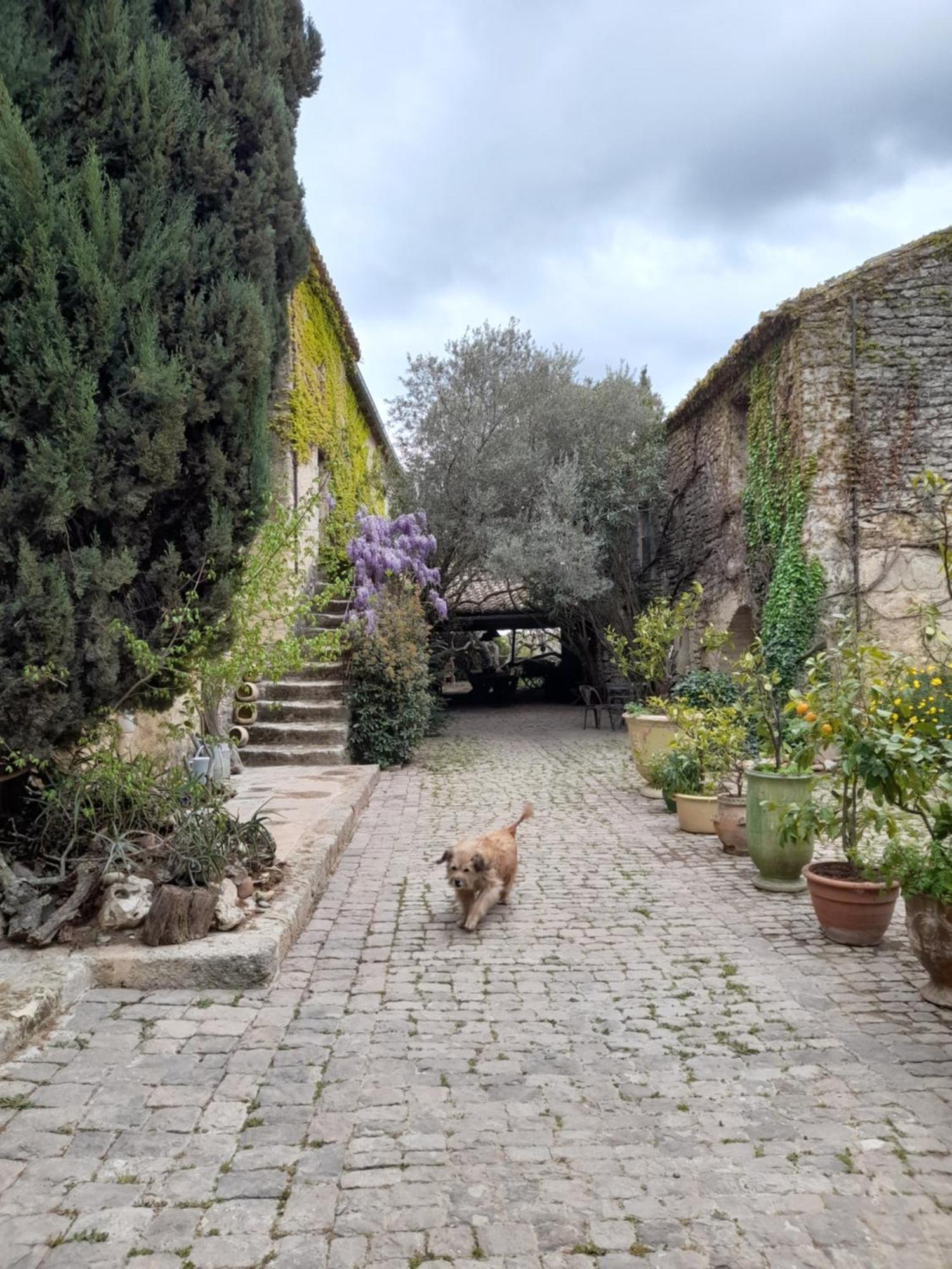 Le Mas Du Lac Uzes Exterior photo